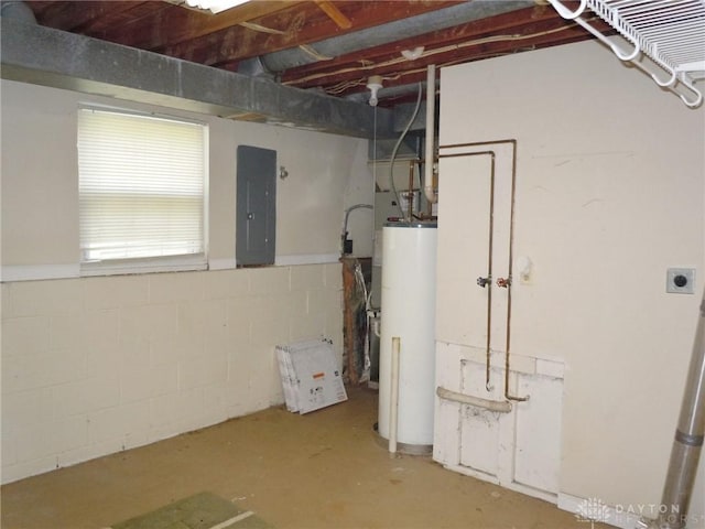 basement featuring gas water heater and electric panel