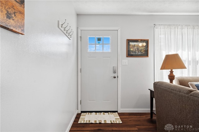 foyer entrance with dark hardwood / wood-style flooring