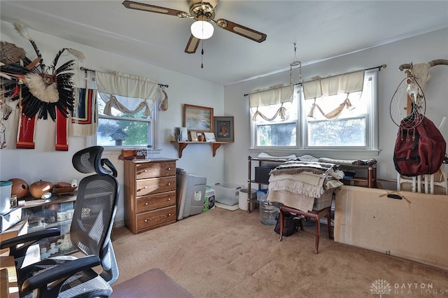 carpeted office with ceiling fan and a wealth of natural light