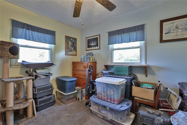 carpeted office with a textured ceiling and ceiling fan