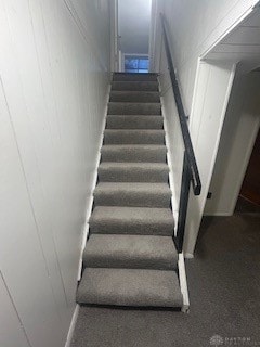 stairway featuring carpet flooring