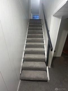 staircase featuring carpet flooring