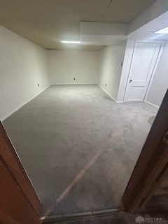 basement featuring carpet floors