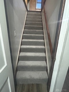 stairway with hardwood / wood-style flooring