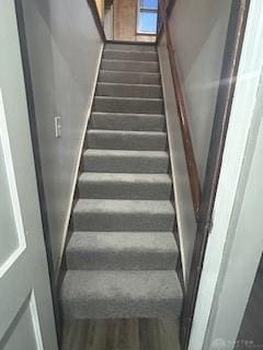 staircase with wood-type flooring