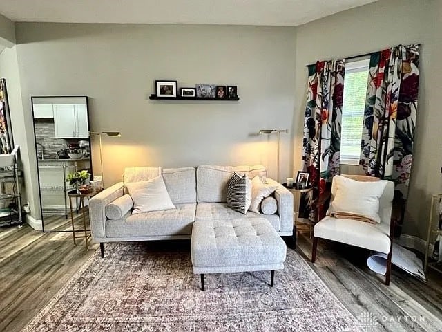 living room featuring wood-type flooring