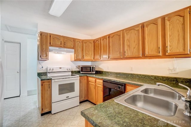 kitchen with sink, electric stove, and dishwasher