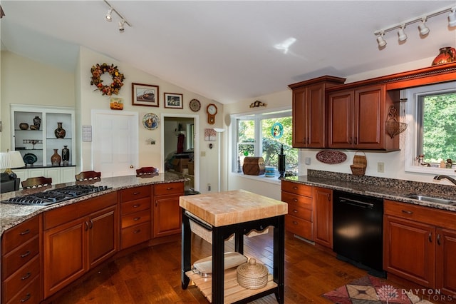 kitchen with lofted ceiling, dishwasher, dark stone counters, and dark hardwood / wood-style floors