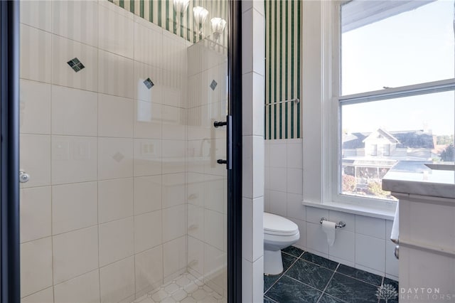 full bath featuring toilet, a shower stall, tile walls, and vanity