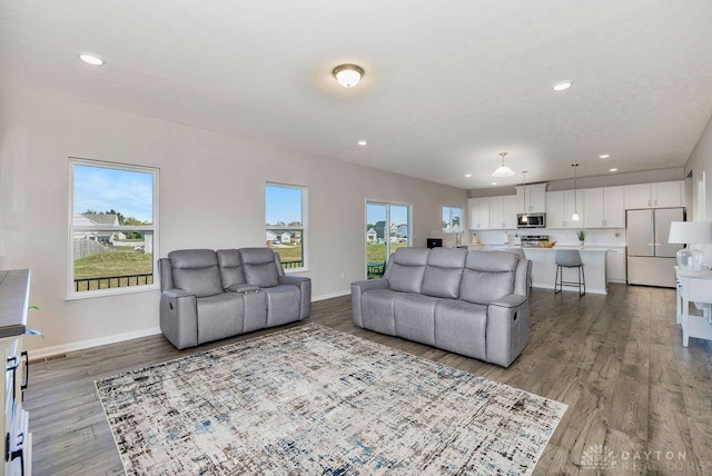 living room with wood-type flooring