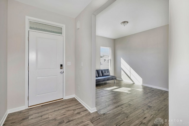 foyer with wood-type flooring