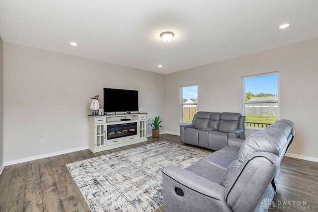 living room featuring dark hardwood / wood-style flooring