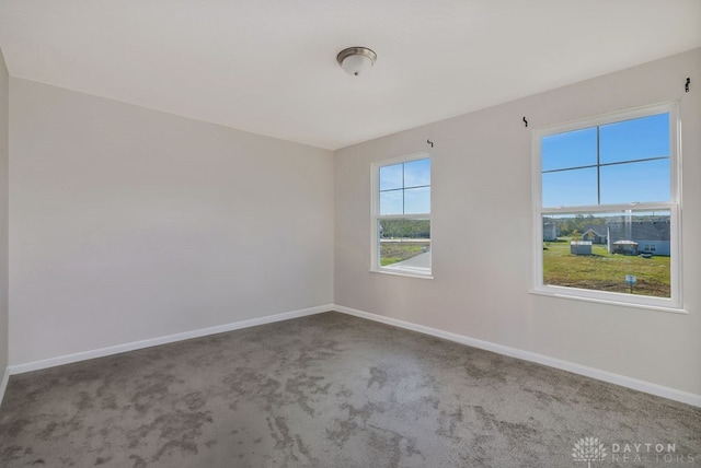 spare room featuring carpet floors