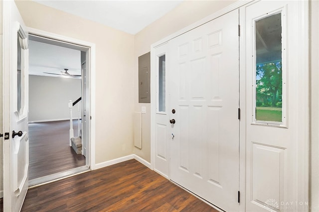 interior space featuring ceiling fan, electric panel, and dark hardwood / wood-style flooring