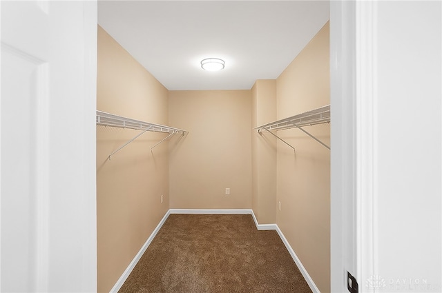 spacious closet with carpet flooring