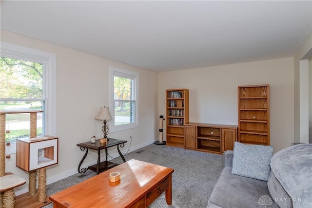 living room with carpet and a wealth of natural light