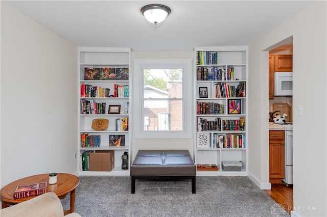 sitting room with hardwood / wood-style flooring