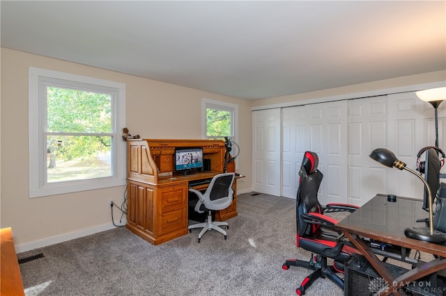 carpeted office featuring a wealth of natural light