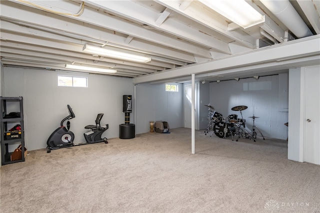 basement featuring carpet