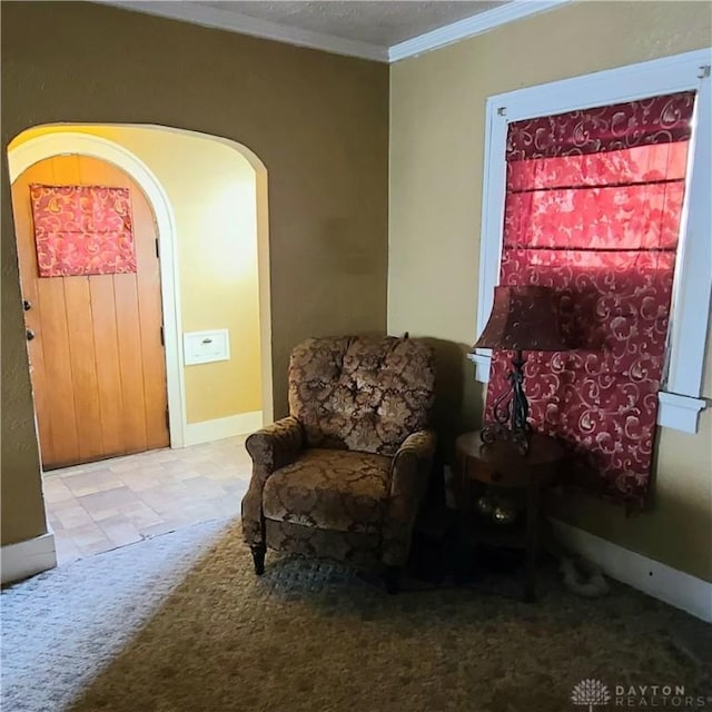 living area featuring crown molding