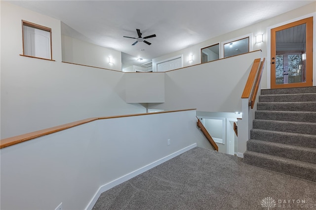 staircase featuring ceiling fan and carpet