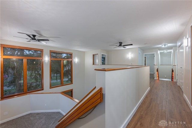 corridor with dark hardwood / wood-style floors