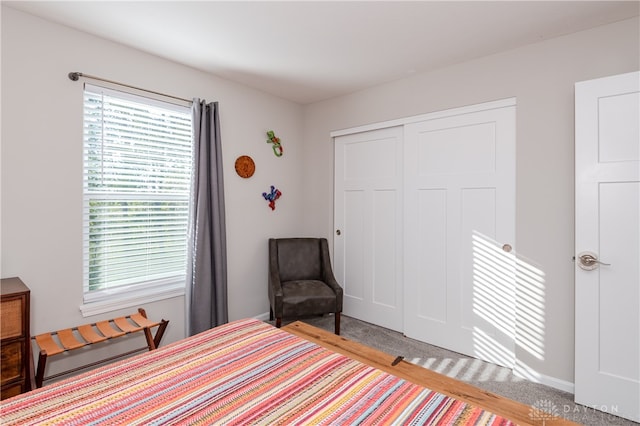 carpeted bedroom featuring a closet