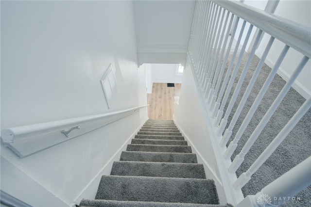 stairway featuring carpet floors