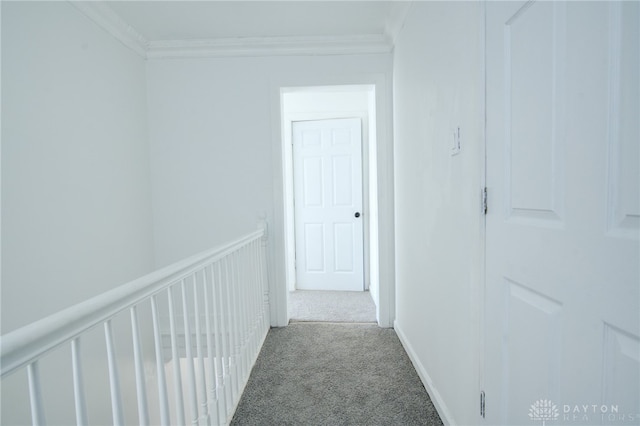 hallway featuring ornamental molding and carpet floors