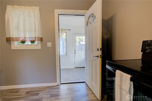 entryway featuring hardwood / wood-style flooring