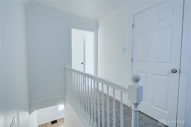 corridor featuring ornamental molding and wood-type flooring