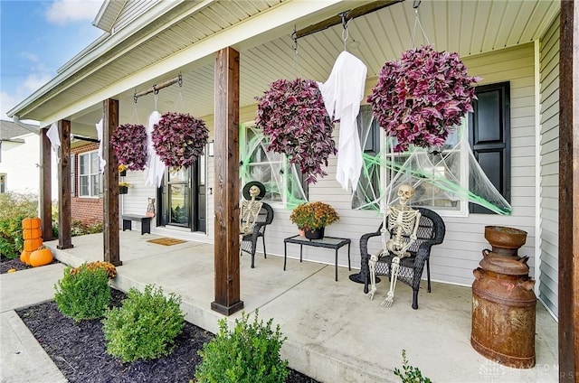 view of patio / terrace with a porch