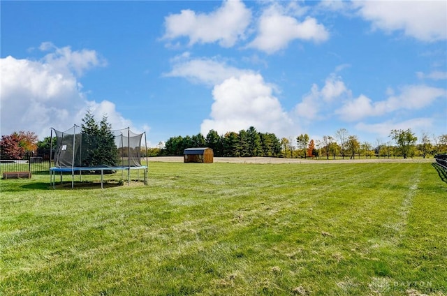 view of yard featuring a trampoline and a shed