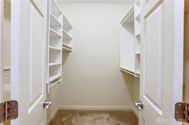 spacious closet with light carpet