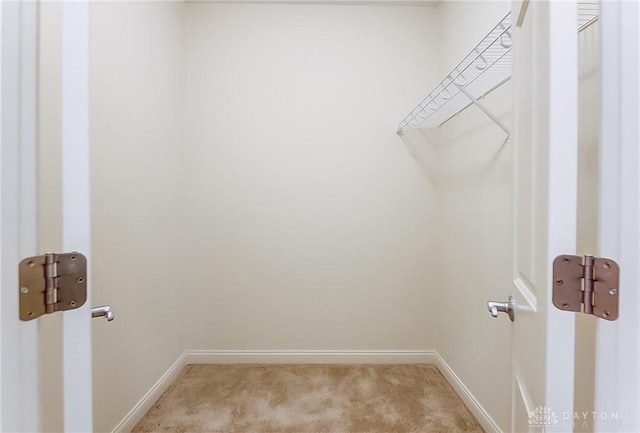 walk in closet with light carpet