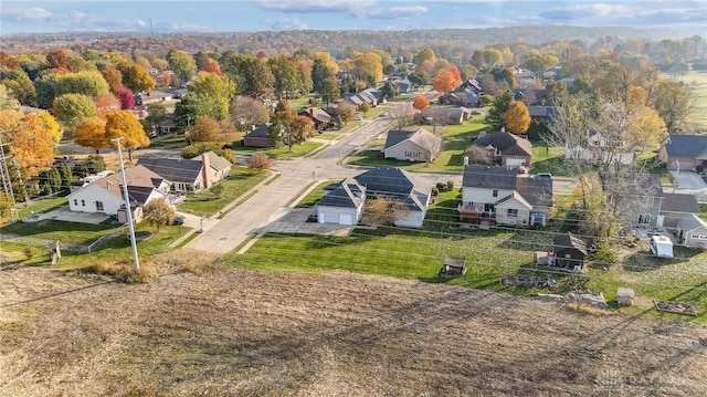 bird's eye view