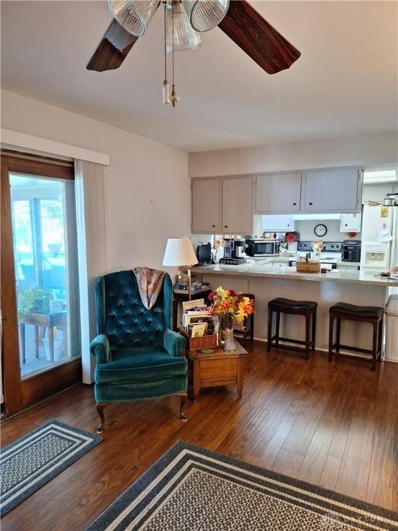 interior space featuring dark wood-type flooring and ceiling fan