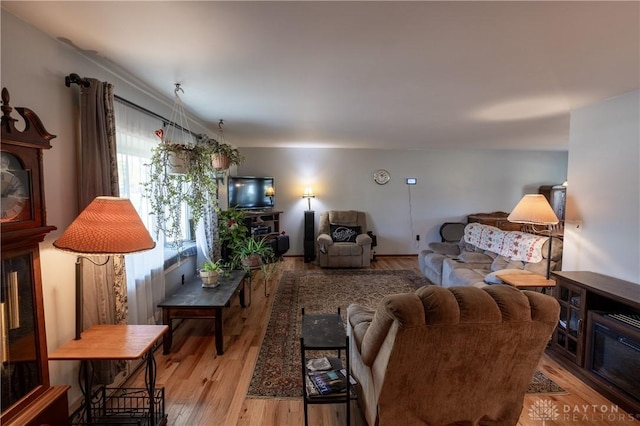 living room featuring light wood-type flooring