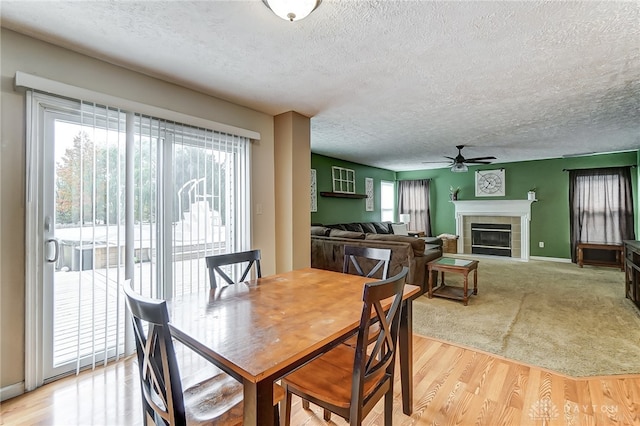 dining room with a tile fireplace, ceiling fan, plenty of natural light, and light hardwood / wood-style floors