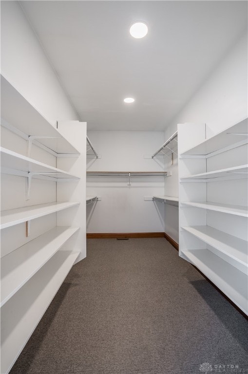 spacious closet with dark colored carpet