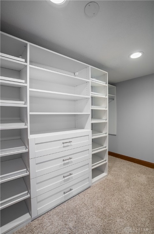 walk in closet featuring carpet flooring