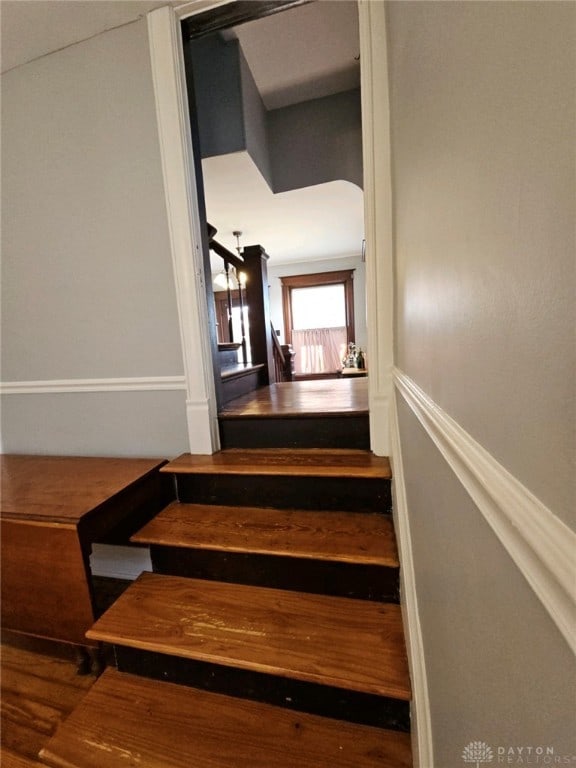 staircase featuring wood-type flooring