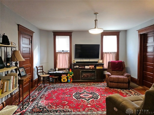 living room with hardwood / wood-style floors