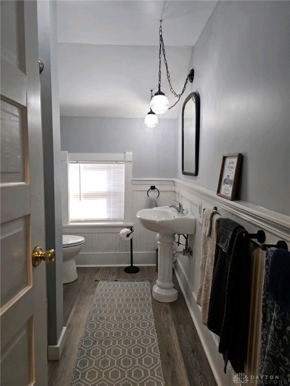 bathroom featuring toilet and wood-type flooring