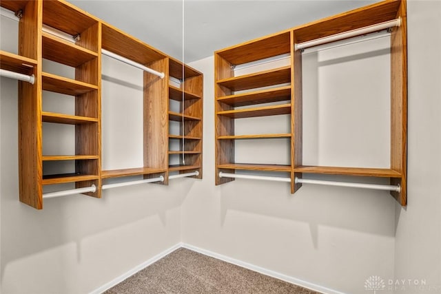 walk in closet featuring carpet flooring