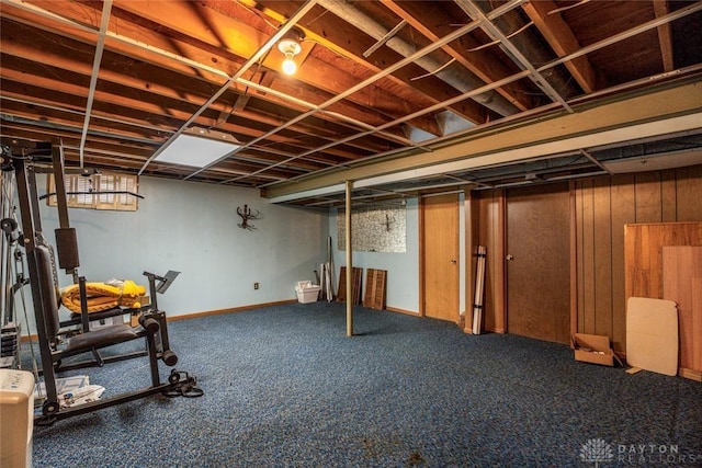 basement featuring carpet