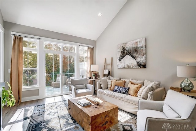 living room featuring hardwood / wood-style flooring and vaulted ceiling