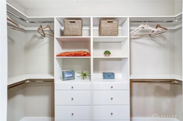 view of spacious closet