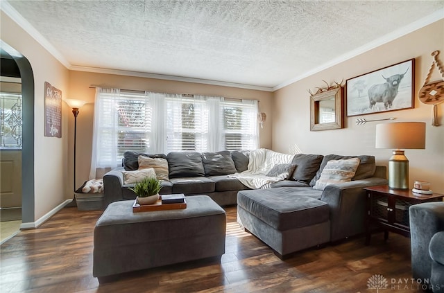 living room with dark hardwood / wood-style flooring, ornamental molding, and a textured ceiling