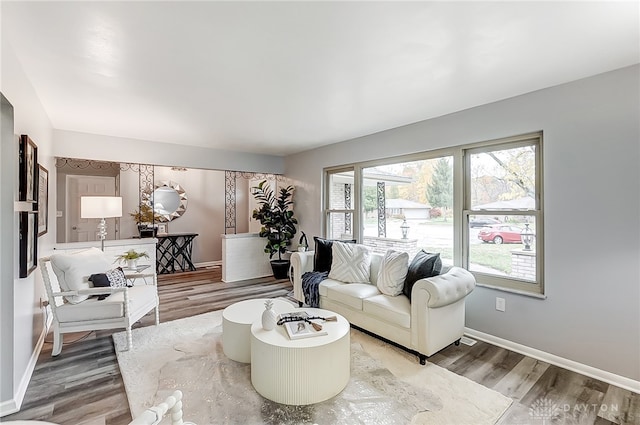 living room with hardwood / wood-style floors